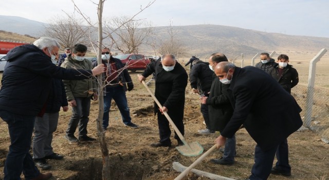 Yahyalı Belediyesi ağaçlandırma çalışmalarına devam ediyor
