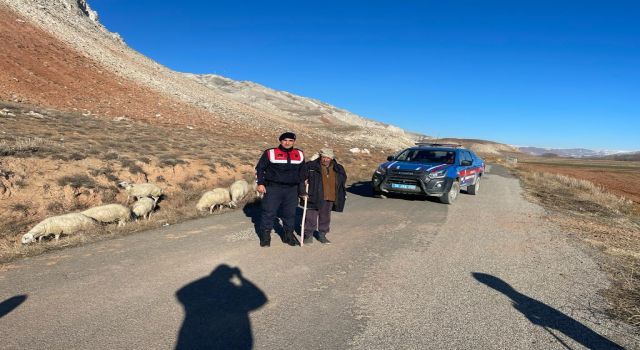 Kaybolan 25 koyun bulunarak sahibine teslim edildi 