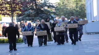 Kocasinan Belediyesi’nden organik domates fidesi dağıtımı